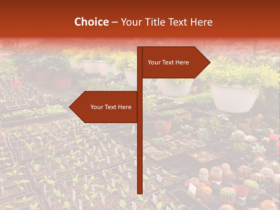 Flowers Center Outdoors PowerPoint Template