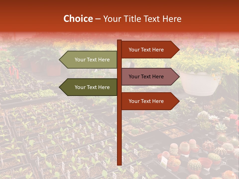 Flowers Center Outdoors PowerPoint Template