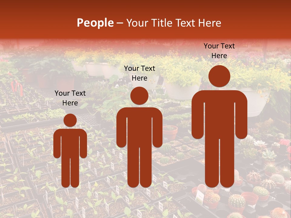 Flowers Center Outdoors PowerPoint Template