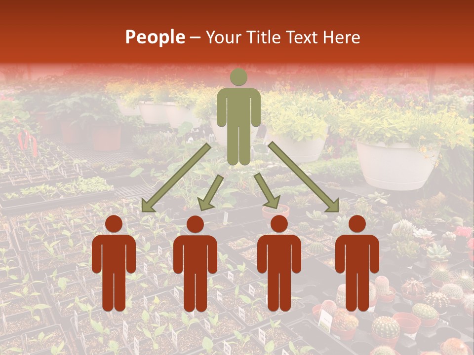 Flowers Center Outdoors PowerPoint Template