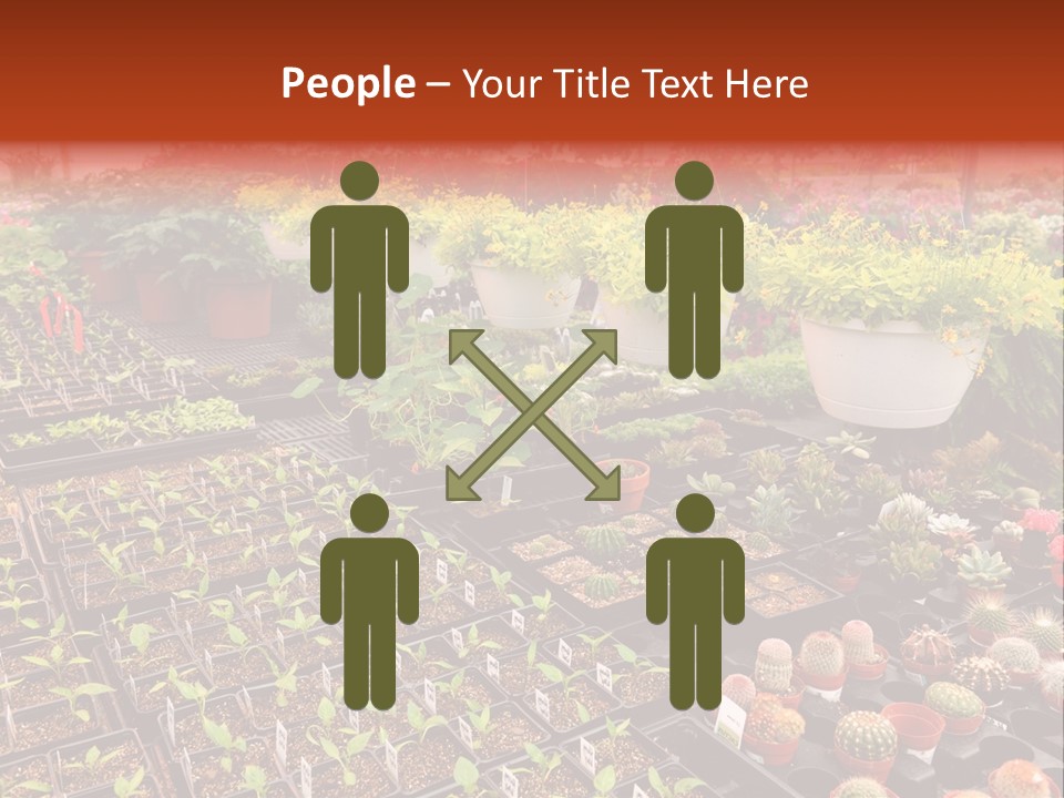 Flowers Center Outdoors PowerPoint Template