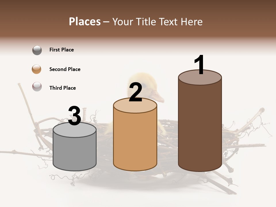 Webbed Beautiful Closeup PowerPoint Template