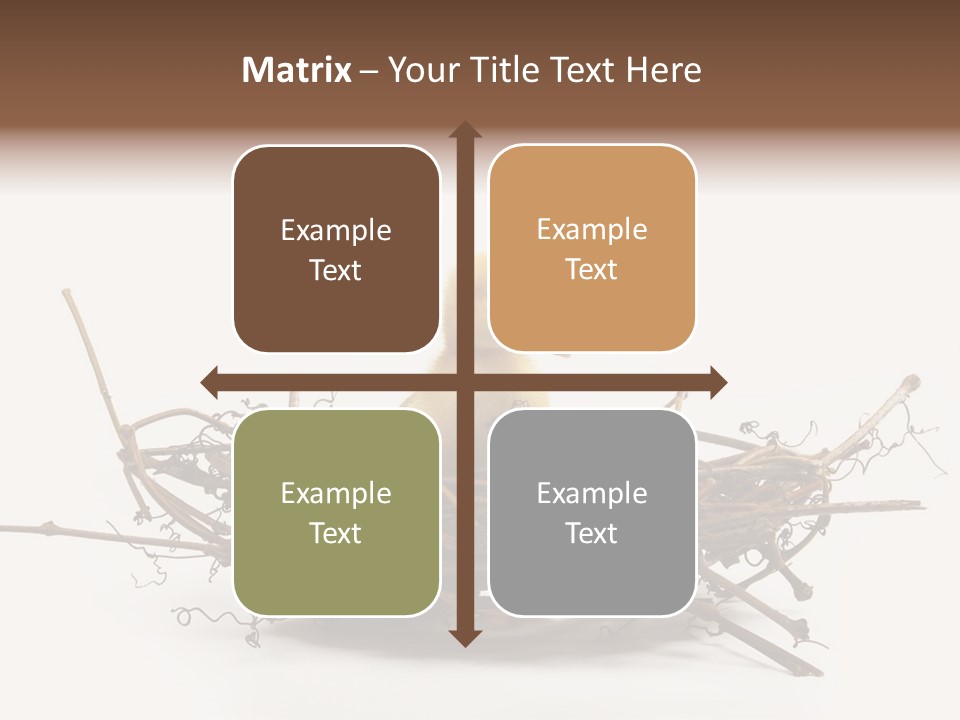 Webbed Beautiful Closeup PowerPoint Template