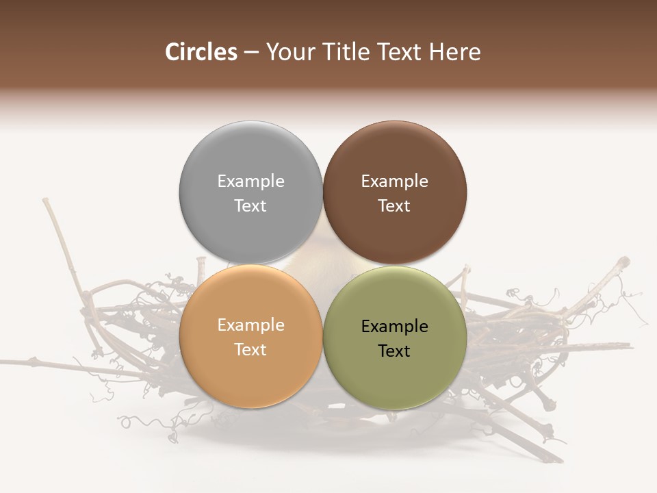 Webbed Beautiful Closeup PowerPoint Template