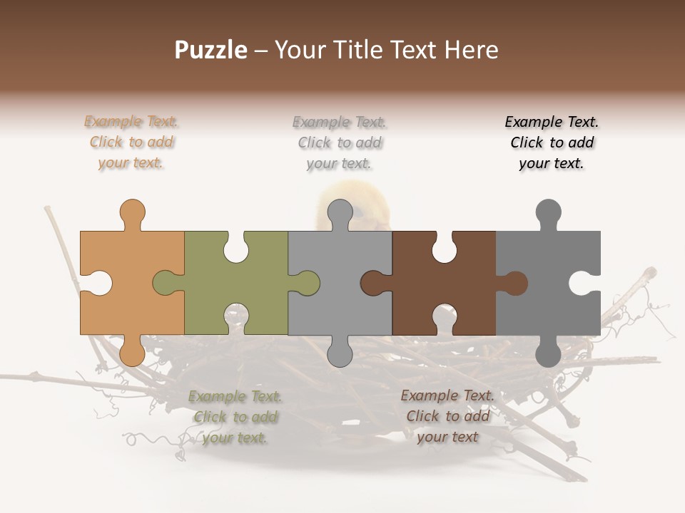 Webbed Beautiful Closeup PowerPoint Template