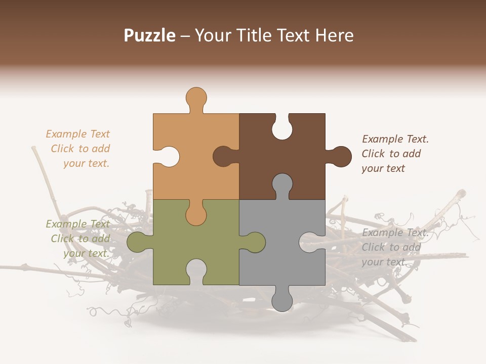 Webbed Beautiful Closeup PowerPoint Template