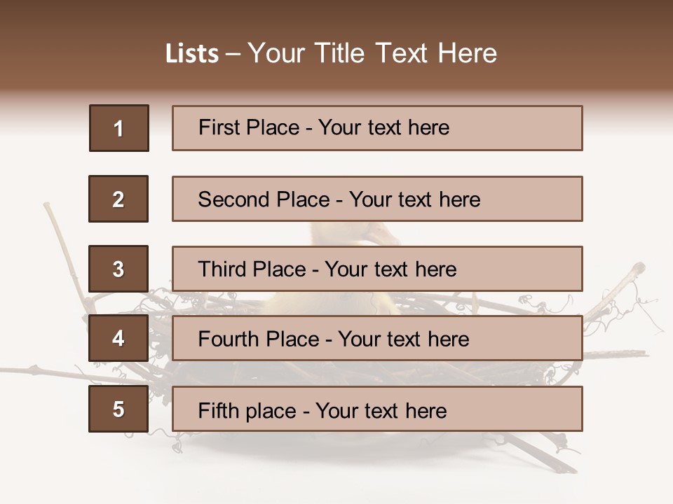 Webbed Beautiful Closeup PowerPoint Template