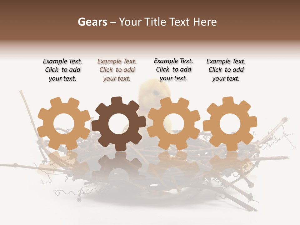 Webbed Beautiful Closeup PowerPoint Template