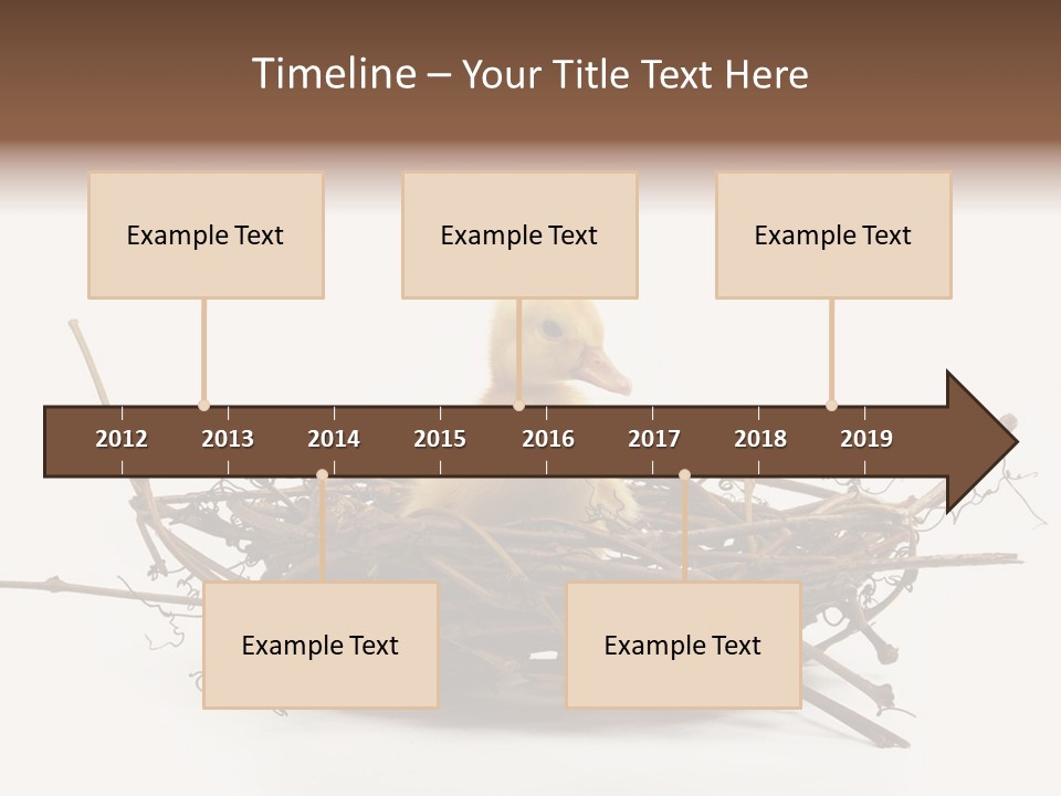 Webbed Beautiful Closeup PowerPoint Template