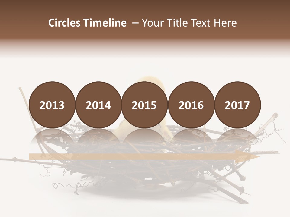 Webbed Beautiful Closeup PowerPoint Template