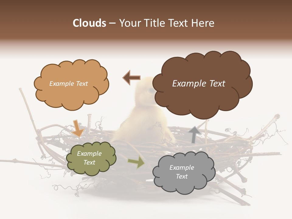 Webbed Beautiful Closeup PowerPoint Template