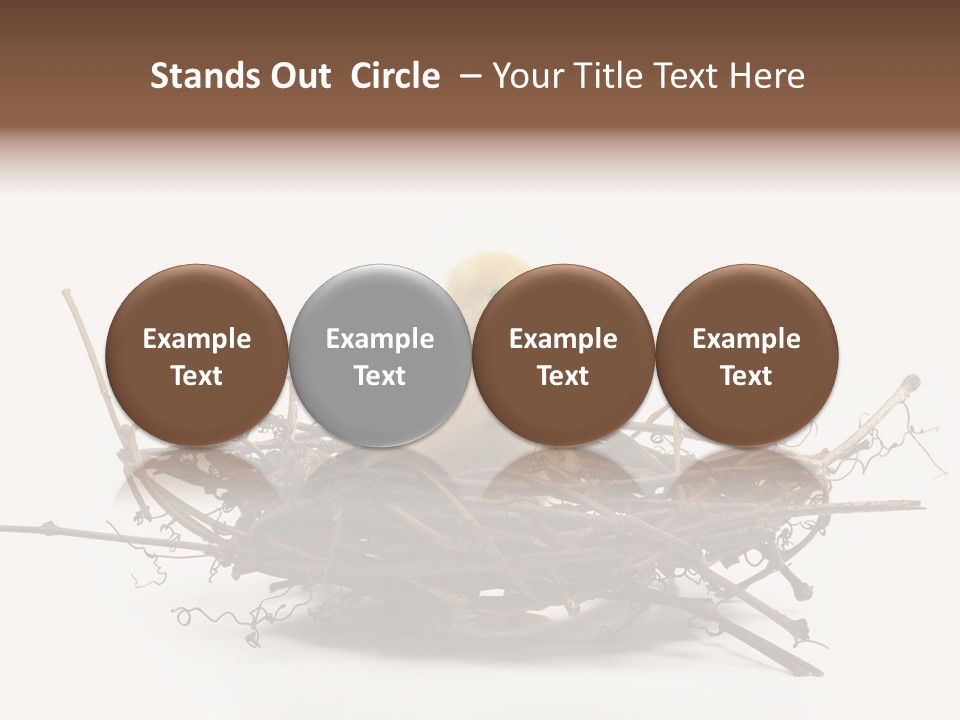 Webbed Beautiful Closeup PowerPoint Template