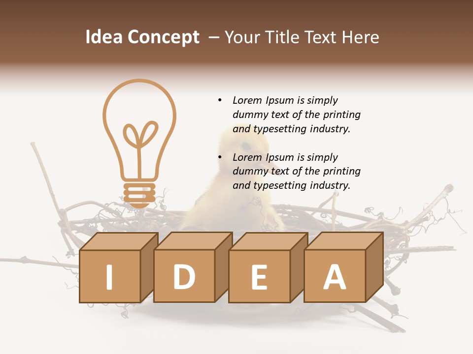 Webbed Beautiful Closeup PowerPoint Template