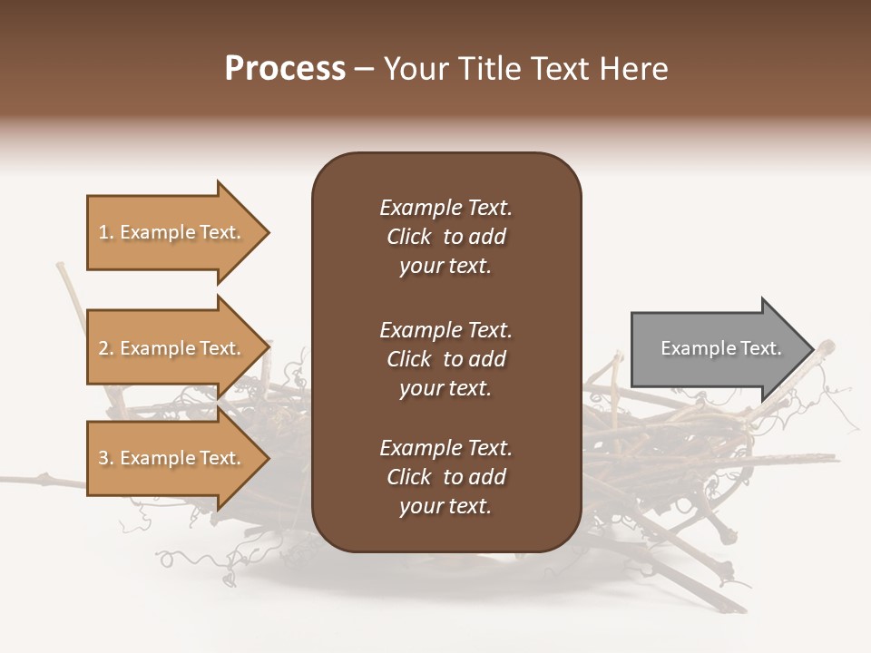 Webbed Beautiful Closeup PowerPoint Template