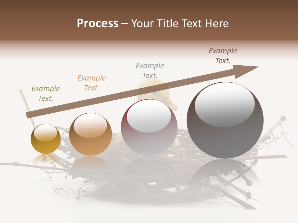 Webbed Beautiful Closeup PowerPoint Template