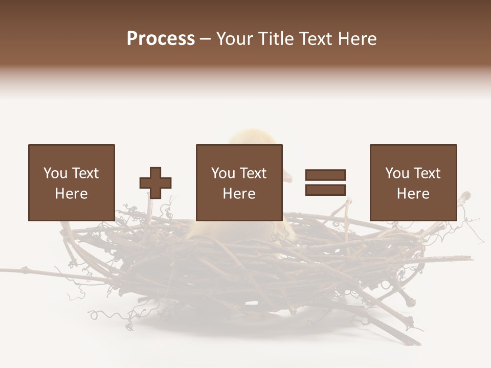 Webbed Beautiful Closeup PowerPoint Template