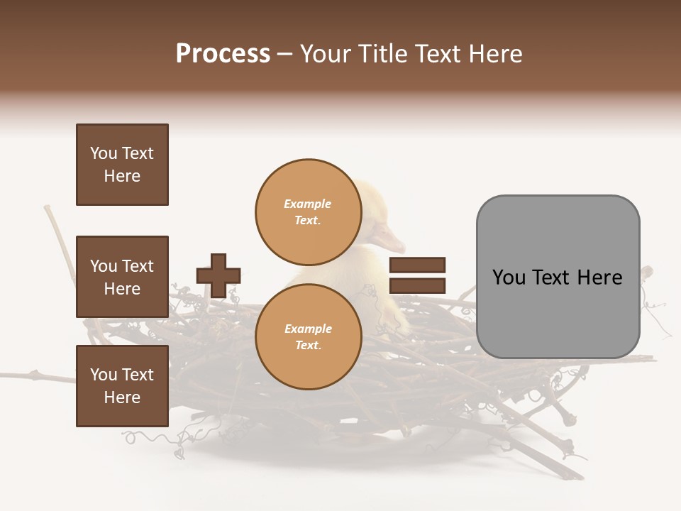 Webbed Beautiful Closeup PowerPoint Template