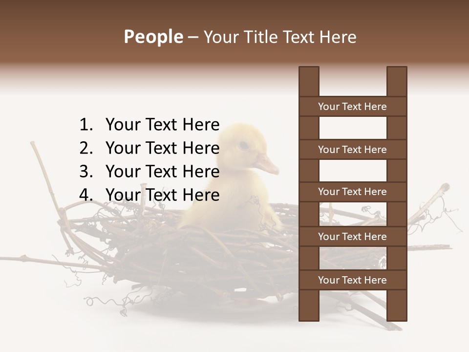 Webbed Beautiful Closeup PowerPoint Template