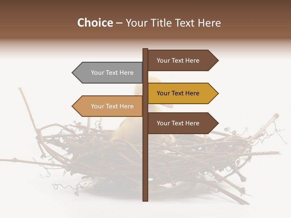 Webbed Beautiful Closeup PowerPoint Template