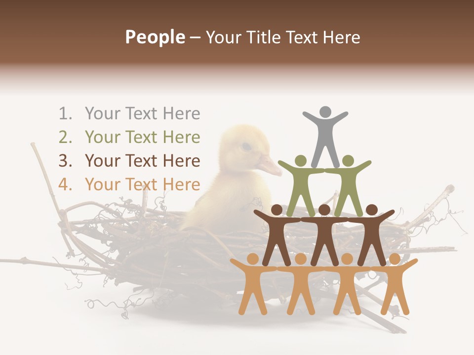 Webbed Beautiful Closeup PowerPoint Template