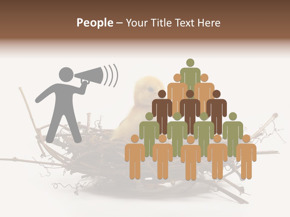 Webbed Beautiful Closeup PowerPoint Template