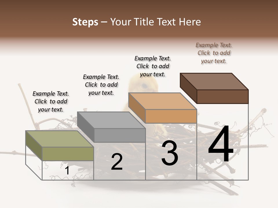 Webbed Beautiful Closeup PowerPoint Template