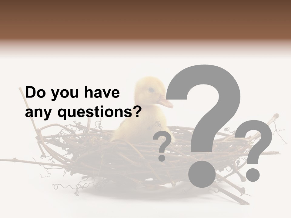 Webbed Beautiful Closeup PowerPoint Template