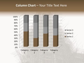 Construct China Structure PowerPoint Template