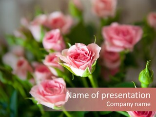 Bridal Bouquet Rose PowerPoint Template