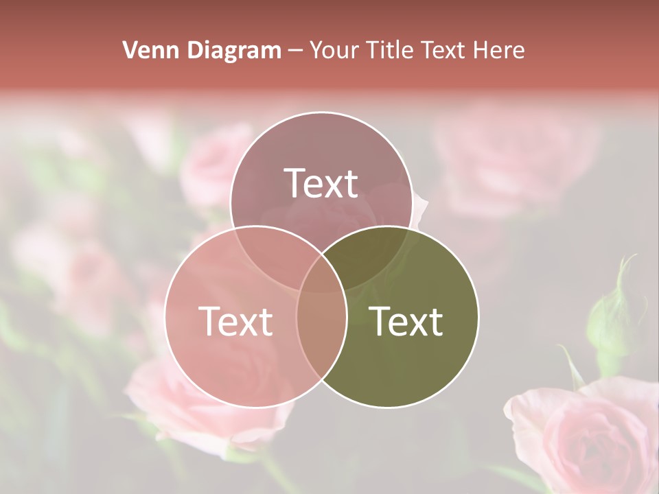 Bridal Bouquet Rose PowerPoint Template