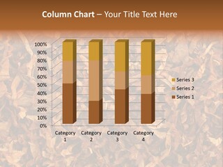 Staple Detail Background PowerPoint Template