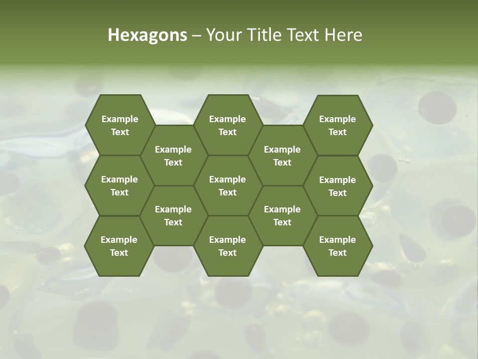 Pattern Spawning Wild PowerPoint Template