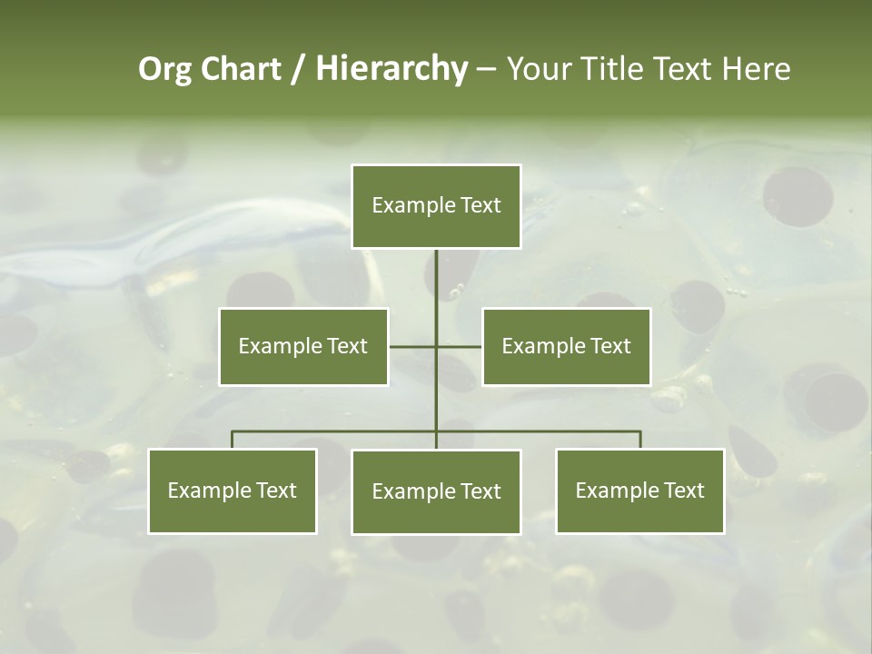 Pattern Spawning Wild PowerPoint Template