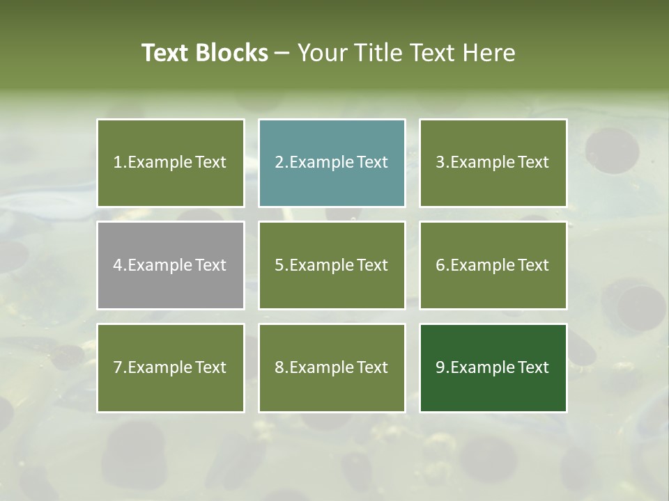 Pattern Spawning Wild PowerPoint Template