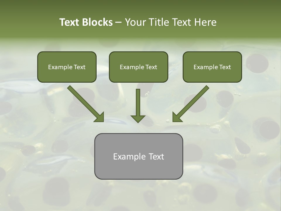 Pattern Spawning Wild PowerPoint Template
