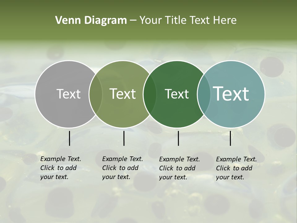 Pattern Spawning Wild PowerPoint Template