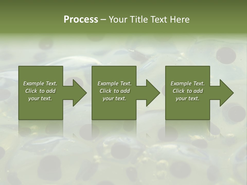 Pattern Spawning Wild PowerPoint Template