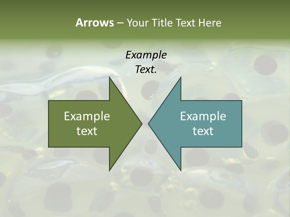 Pattern Spawning Wild PowerPoint Template