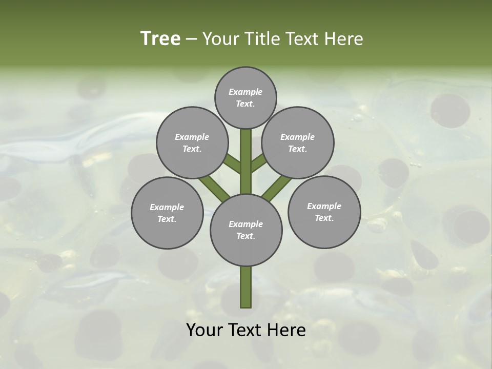 Pattern Spawning Wild PowerPoint Template