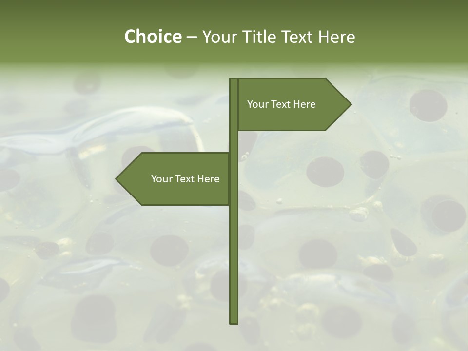 Pattern Spawning Wild PowerPoint Template