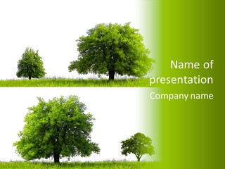 Isolated Leafy Summer PowerPoint Template