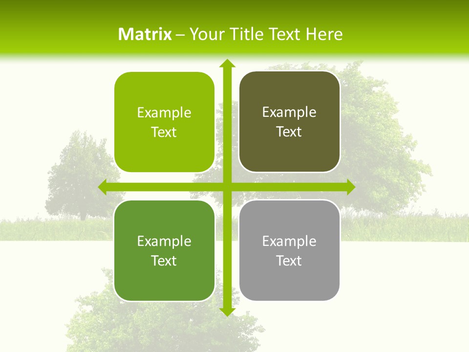 Isolated Leafy Summer PowerPoint Template