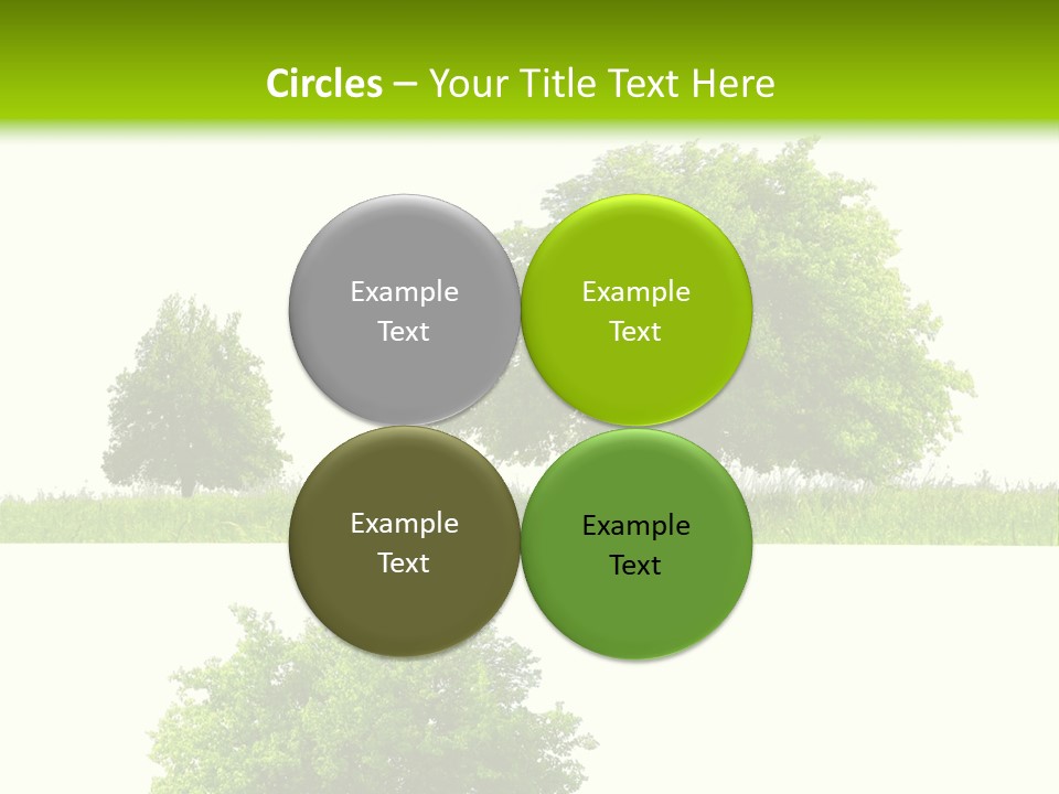 Isolated Leafy Summer PowerPoint Template