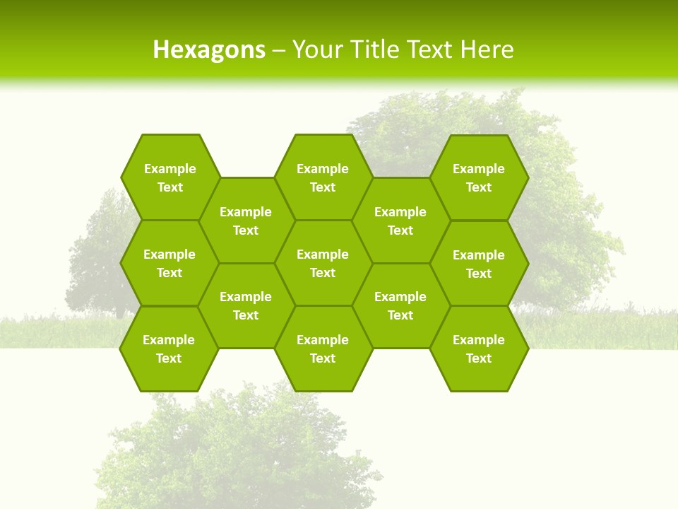 Isolated Leafy Summer PowerPoint Template