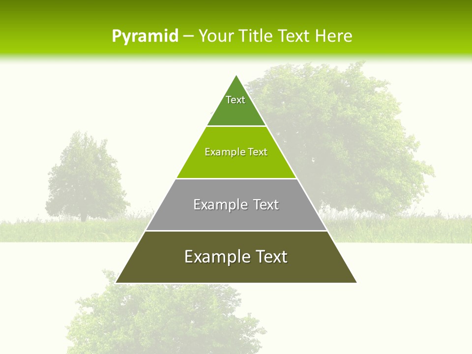 Isolated Leafy Summer PowerPoint Template