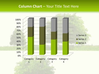 Isolated Leafy Summer PowerPoint Template