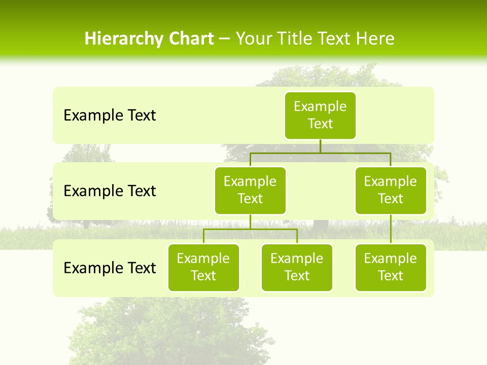 Isolated Leafy Summer PowerPoint Template