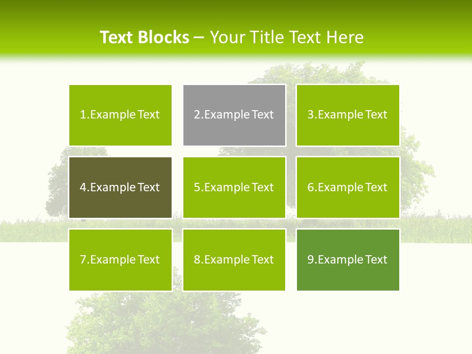 Isolated Leafy Summer PowerPoint Template