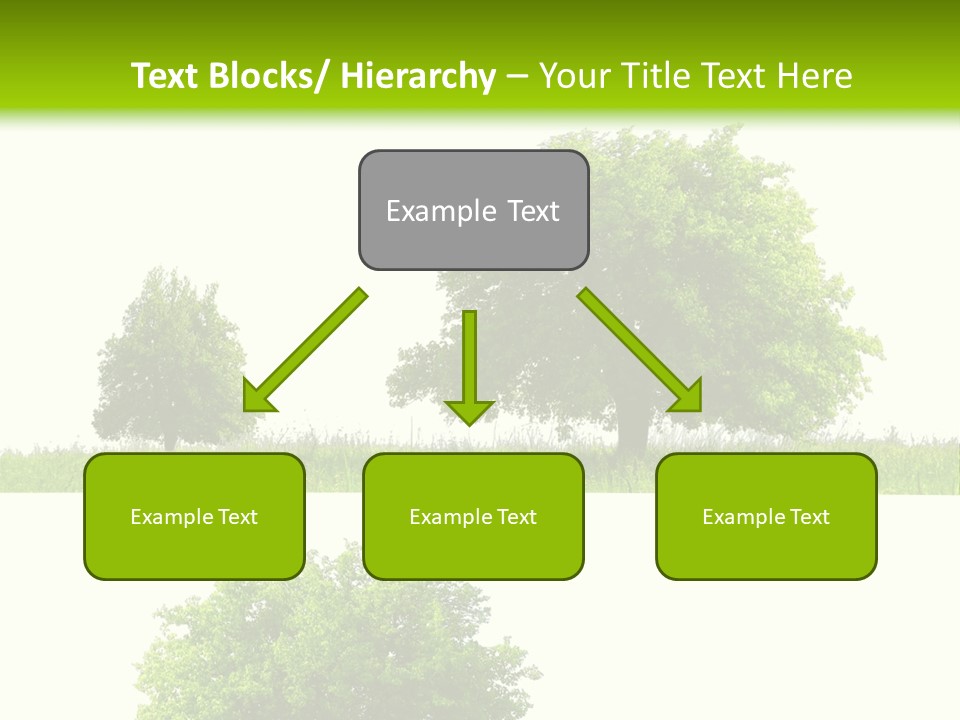 Isolated Leafy Summer PowerPoint Template