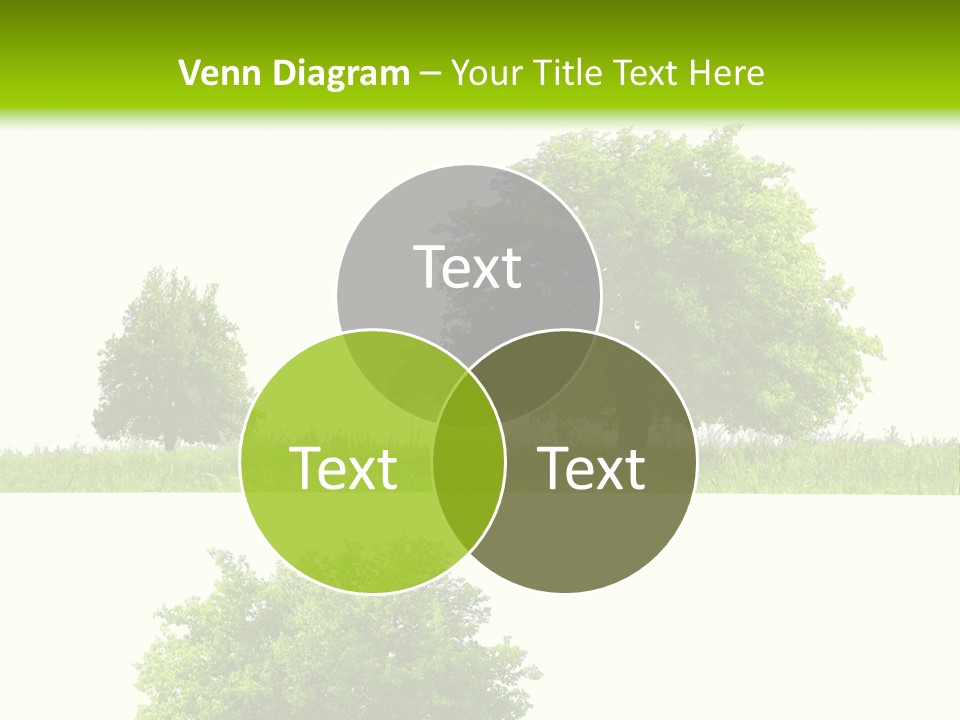 Isolated Leafy Summer PowerPoint Template